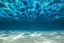 Ocean Fact