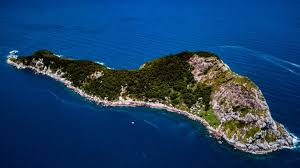 Snake island