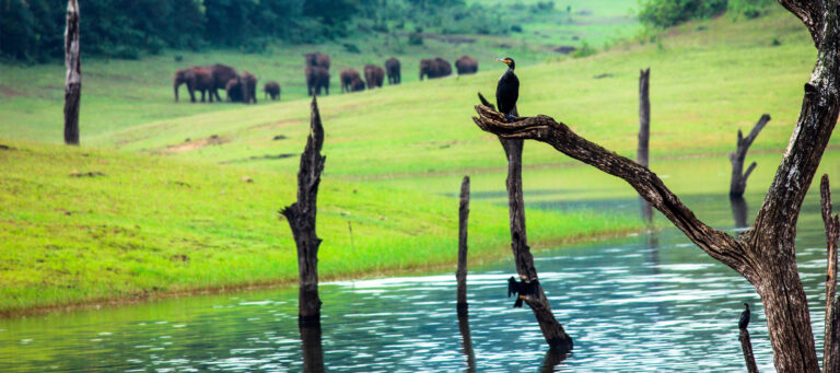15 Best Places to Visit in Kerala – God’s Own Country Unveiled