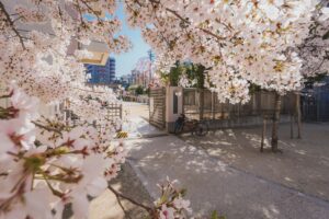 japan